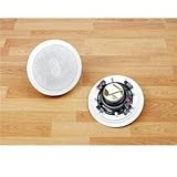 6.5 Dual Channel In-ceiling