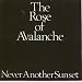 The Rose Of Avalanche-NEVER ANOTHER SUNSET
