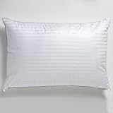 Downlike Memory Foam Dual Pillow