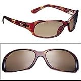 Navigator Sunglasses