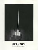 Brancusi Photo Reflection