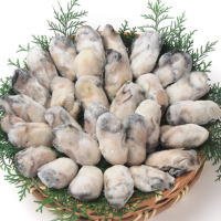 SHUEI ジャンボ生剥き牡蠣 1kg