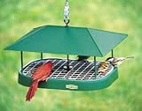 Bird Feeder, Squirrel Proof Platform Pavilion