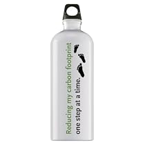 Sigg Simply Eco Loop Top Water Bottle (1.0-Liters, One step at a time)