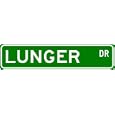 LUNGER Street Sign ~ Personalized Family Lastname Sign ~ Gameroom, Basement, Garage Sign Novelty** ALUMINUM