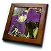 Autumn Purple Clematis- Flowers- Photography - 8x8 Framed Tile