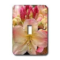 Flowers - Rhododendron - Light Switch Covers - single toggle switch
