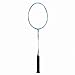 DHS M550 Power Memory System Series Badminton Racket, Double Happiness (DHS)