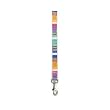 Zack & Zoey Nylon Inspirational Lead, 4-Feet, White