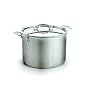 All-Clad Stainless 8-Quart Tall Stock Pot with Lid
