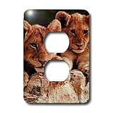 Wild animals - African Lion Cubs - Light Switch Covers - 2 plug outlet cover