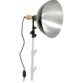 Impact Floodlight Reflector with Socket, Cord -12 (120VAC)