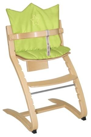 roba 1851 - Sitzverkleinerer aus Canvas gruen mit Stickerei Stern