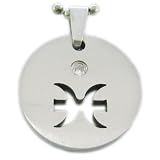 Zodiac Necklace - Pisces