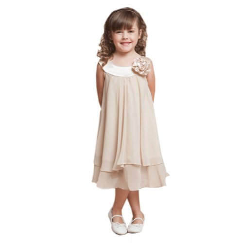 My Girl Dress girl's Charming Double Layered Flower girl Dress