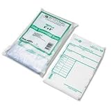Clear Poly Cash Transmittal Bags with Information Block, 6w x9h, 100/pack