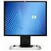 Hewlett-Packard 19-Inch Lcd Monitor (RA373AA#ABA)