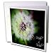 WhiteOak Photography Inspirational Floral Prints - Make a Wish Dandelion Puff Ball - Greeting Cards-12 Greeting Cards with envelopes