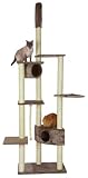 Eigenschaften Maxi-Pet 84498 / Maxi-Pet 84498 Kratzbaum JUPITER 240-270 cm, grau mit Deckenspanner