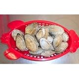 Live Maine Softshell Steamer Clams