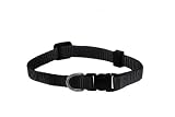 Small Solid Adjustable Pet Collar with EZ Snap Buckle, Black