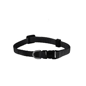 Small Solid Adjustable Pet Collar with EZ Snap Buckle, Black by
