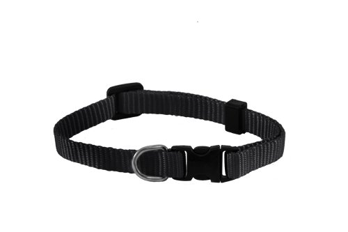 Small Solid Adjustable Pet Collar with EZ Snap Buckle, Black