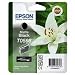 Epson T0598 SR2400 black ink cartridge