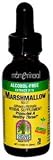 UPC 083000006449 product image for Nature's Answer Alcohol-Free Marshmallow Root, 1-Fluid Ounce | upcitemdb.com