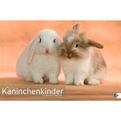 Kaninchenkinder Posterkalender 2011