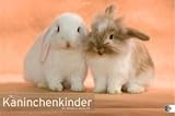 Kaninchenkinder Posterkalender 2011