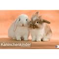 Kaninchenkinder Posterkalender 2011