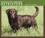 Chocolate Lab Retrievers Boxed Cale 2008