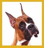 Boxer Portrait Bookmark