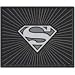 Search : Superman Silver Rear Floor Mat.