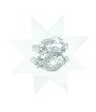 Throwing Star Dragon Chrome 2.5