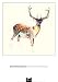 �ݥ����������ޥ��� ��������� Deer Wearing Gym Socks ������ ������å��ե졼��(�ۥ磻��)