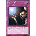 遊戯王シングルカード 落とし穴 ノーマル ysd5-jp033