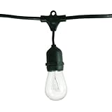 Bulbrite STRING15/E26-S14KT Outdoor String Light w/Incandescent Bulbs, 48-Feet, 15 Lights