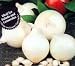 White Snowball Onion Set 80 Bulbs