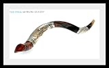 Amazing Silver-plated 24 to 28 Yemenite Shofar Kudu Judaica Plus Bag