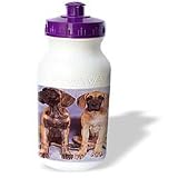 Dogs Great Dane - Great Danes - Water Bottles
