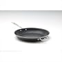 All-Clad LTD2 14" Non-Stick Frying Pan