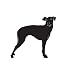 Terrier Dog Pet Manchester Terrier Car Truck Vehicle Bumper Helmet Decal Sticker Wall Art Laptop Design Skin Stickers