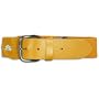 Athletic Specialties Elastic Uniform Belt ( Gold )
