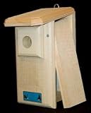Western Bluebird House
