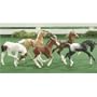 Breyer Stablemates 5pc. Fun Foals