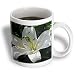 White Lily - may birth flower, birth flower, lily, lilies, lilium, flowering plants, plants - 11oz Mug