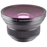 Raynox HD-3030, 0.3x High Definition Semi Fisheye Conversion Lens for 37mm Filter Thread, with Adapters for 27mm, 28mm, 30mm, 30.5mm & 43mm