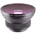 Raynox HD-3030, 0.3x High Definition Semi Fisheye Conversion Lens for 37mm Filter Thread, with Adapters for 27mm, 28mm, 30mm, 30.5mm & 43mm